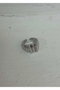 Heliophilia Silver Anillo de Cuerpo de Latón Plateado Ajustable